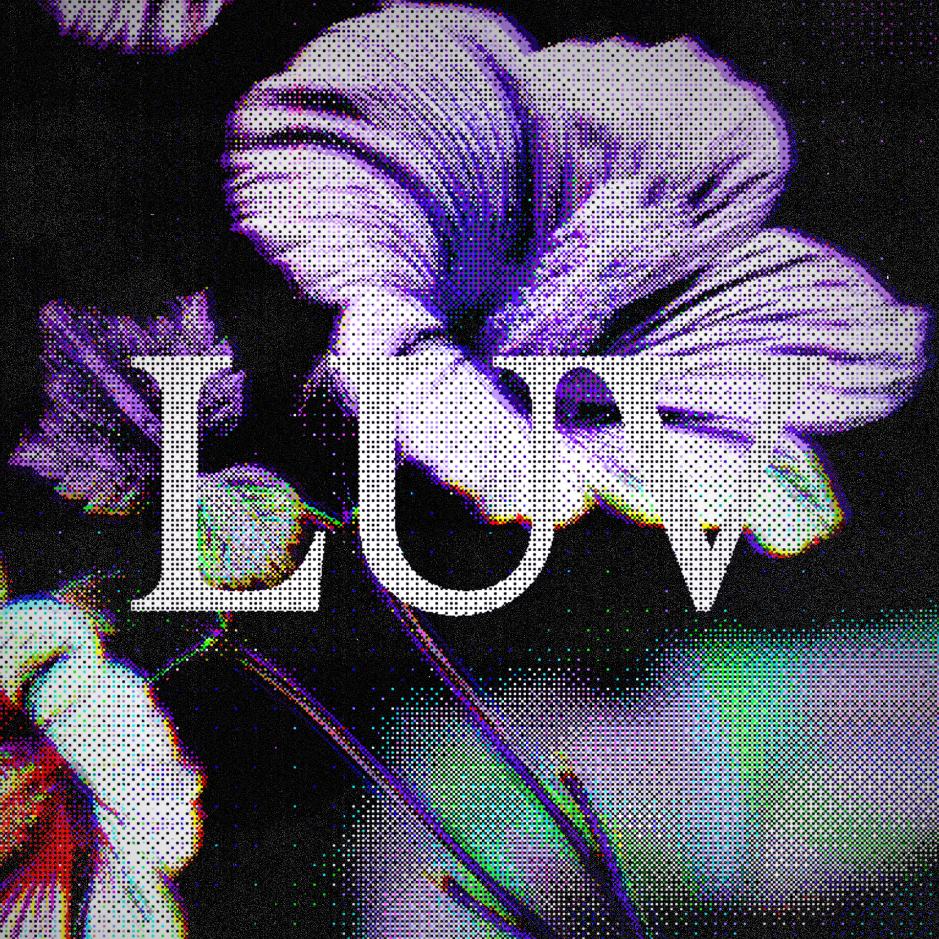 LUV Sample Pack – Outofideas®