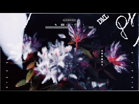 Mystery Sample Pack